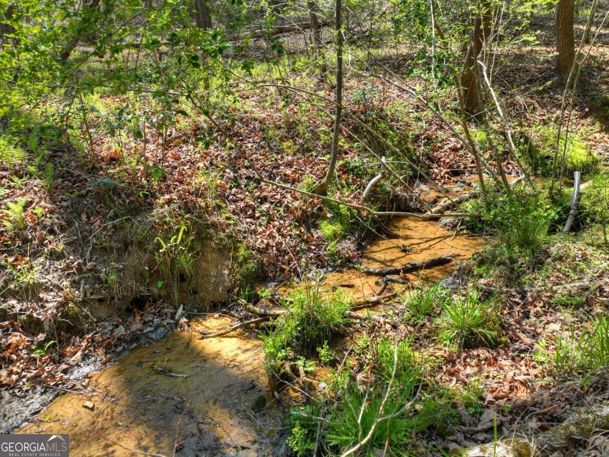 158 Spring Run Drive Blue Ridge GA 30513