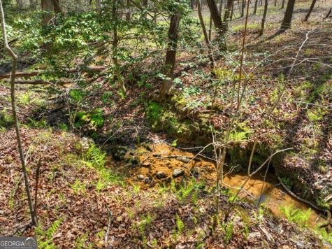 158 Spring Run Drive Blue Ridge GA 30513