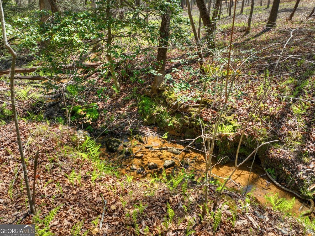 158 Spring Run Drive Blue Ridge GA 30513