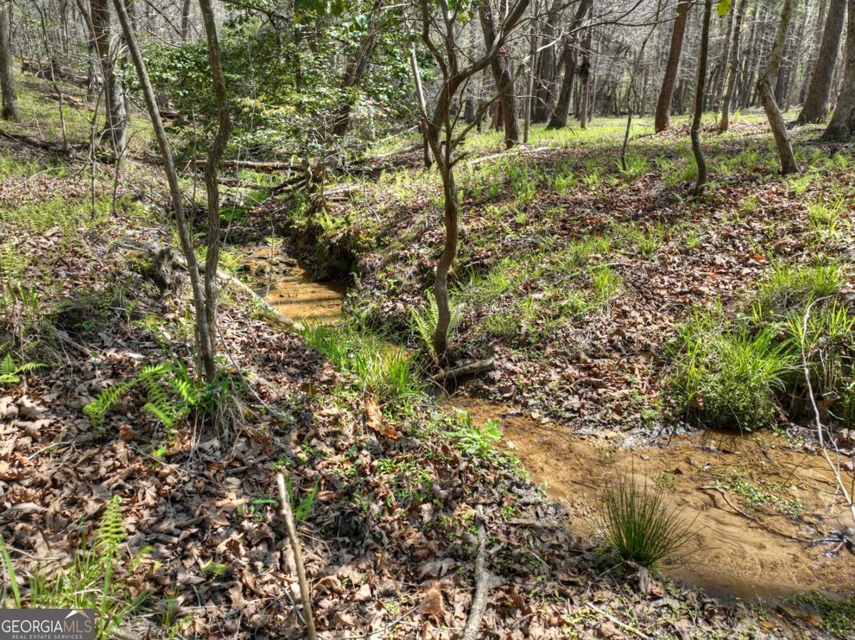 158 Spring Run Drive Blue Ridge GA 30513