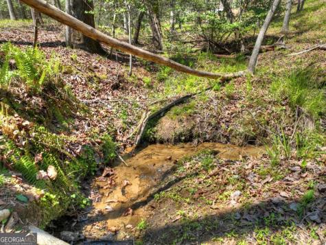 158 Spring Run Drive Blue Ridge GA 30513