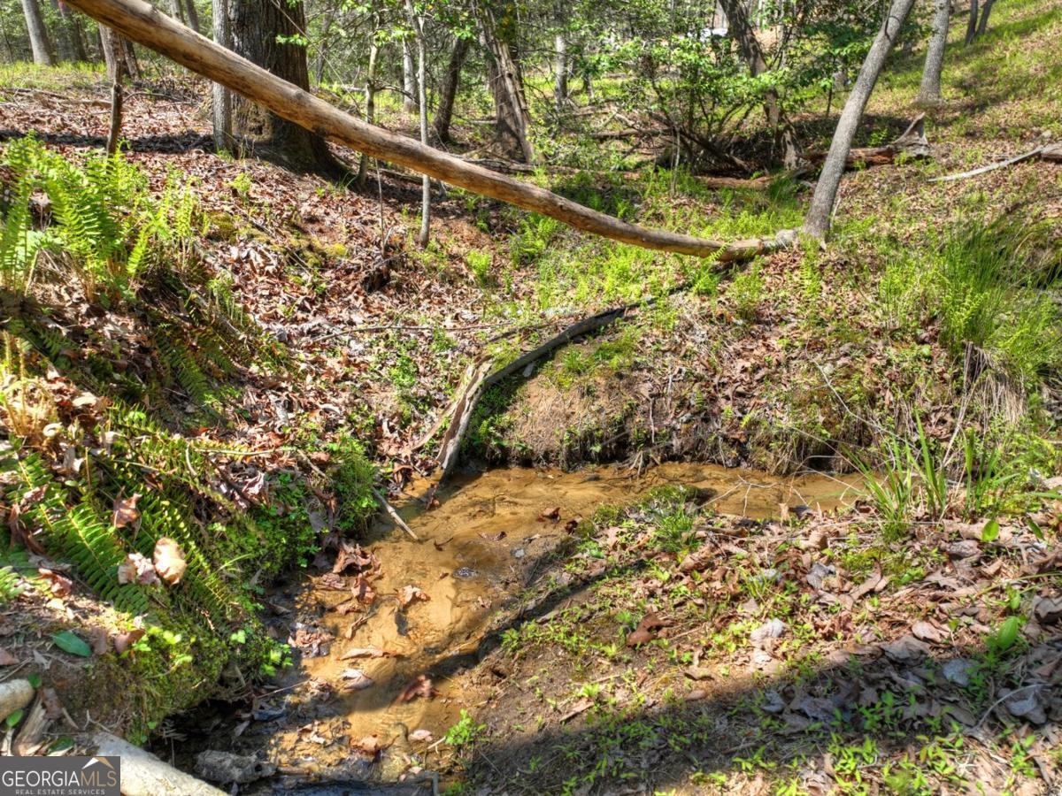 158 Spring Run Drive Blue Ridge GA 30513