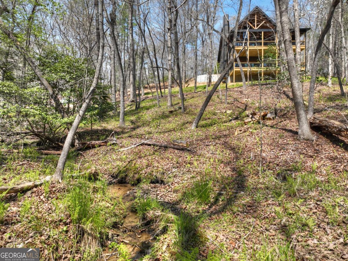 158 Spring Run Drive Blue Ridge GA 30513