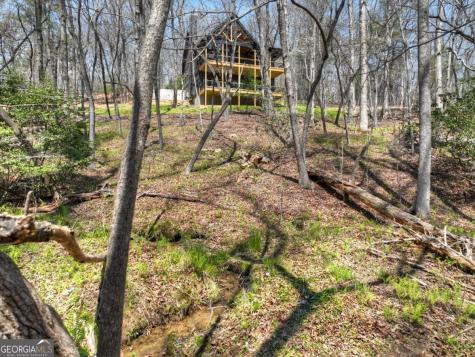 158 Spring Run Drive Blue Ridge GA 30513