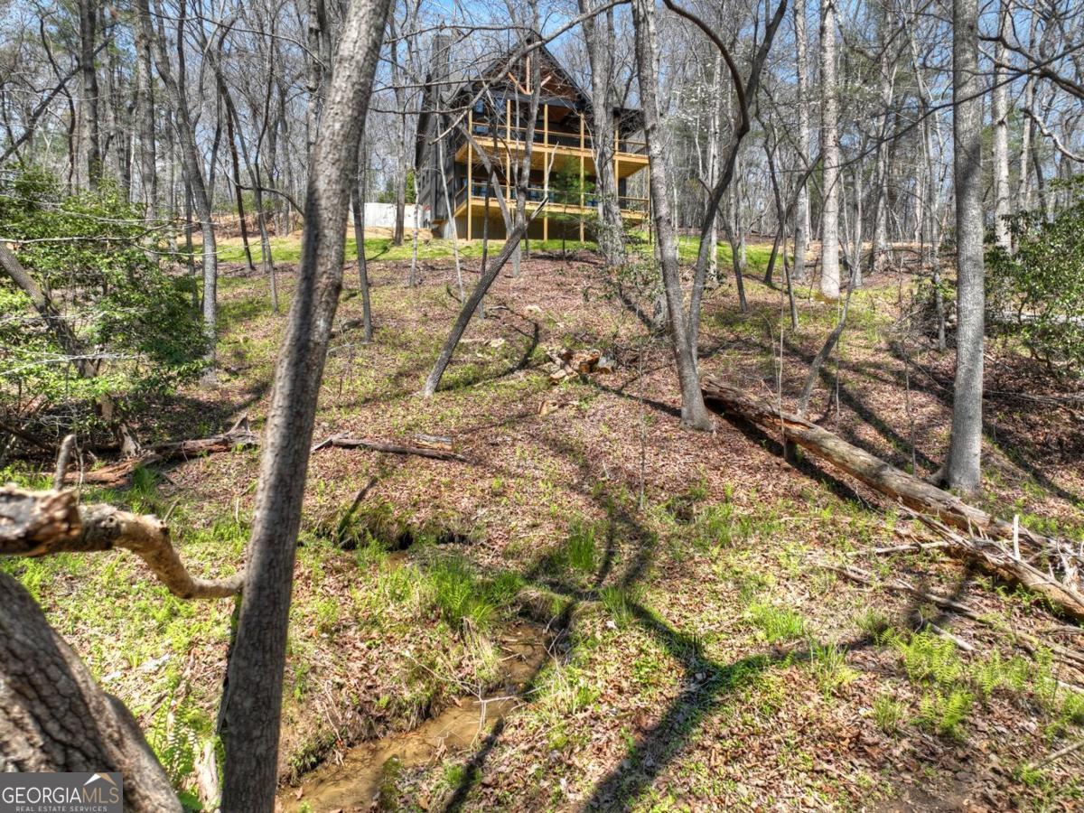 158 Spring Run Drive Blue Ridge GA 30513