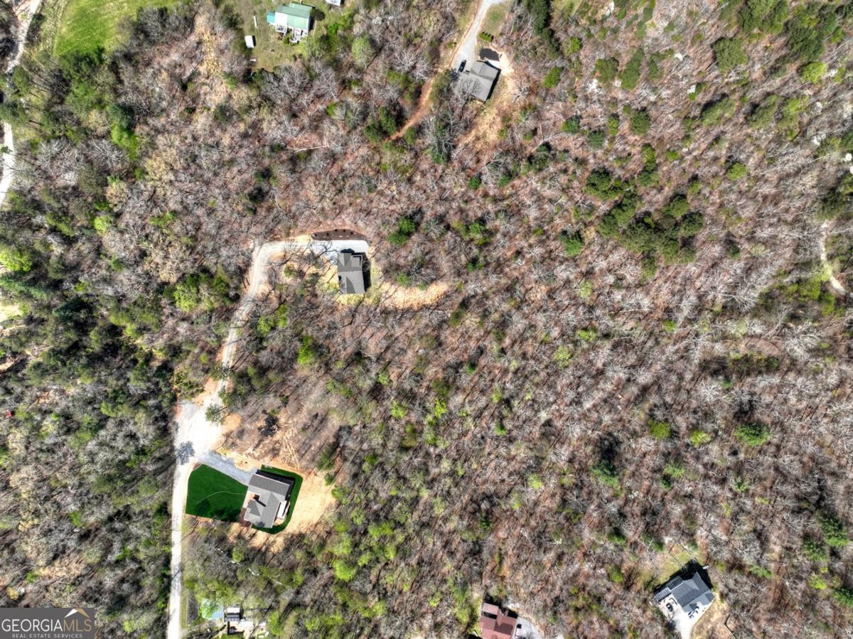 158 Spring Run Drive Blue Ridge GA 30513