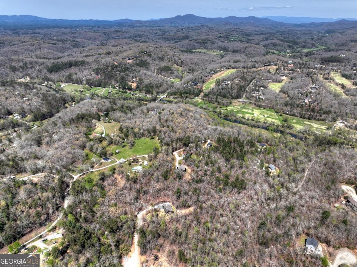 158 Spring Run Drive Blue Ridge GA 30513