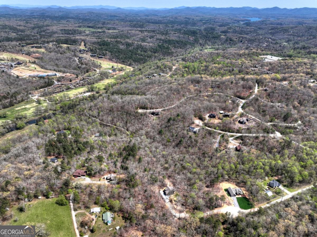 158 Spring Run Drive Blue Ridge GA 30513