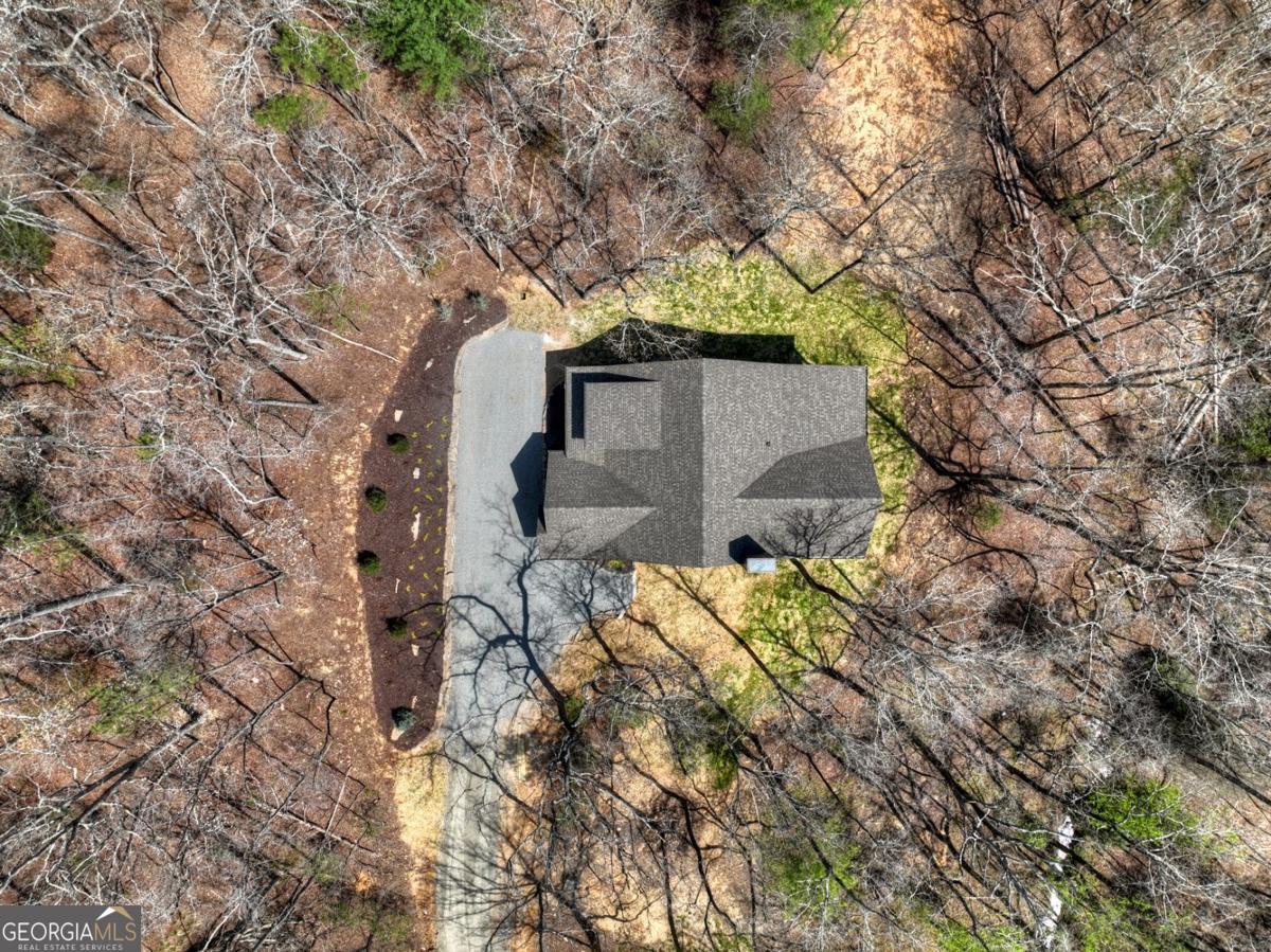 158 Spring Run Drive Blue Ridge GA 30513