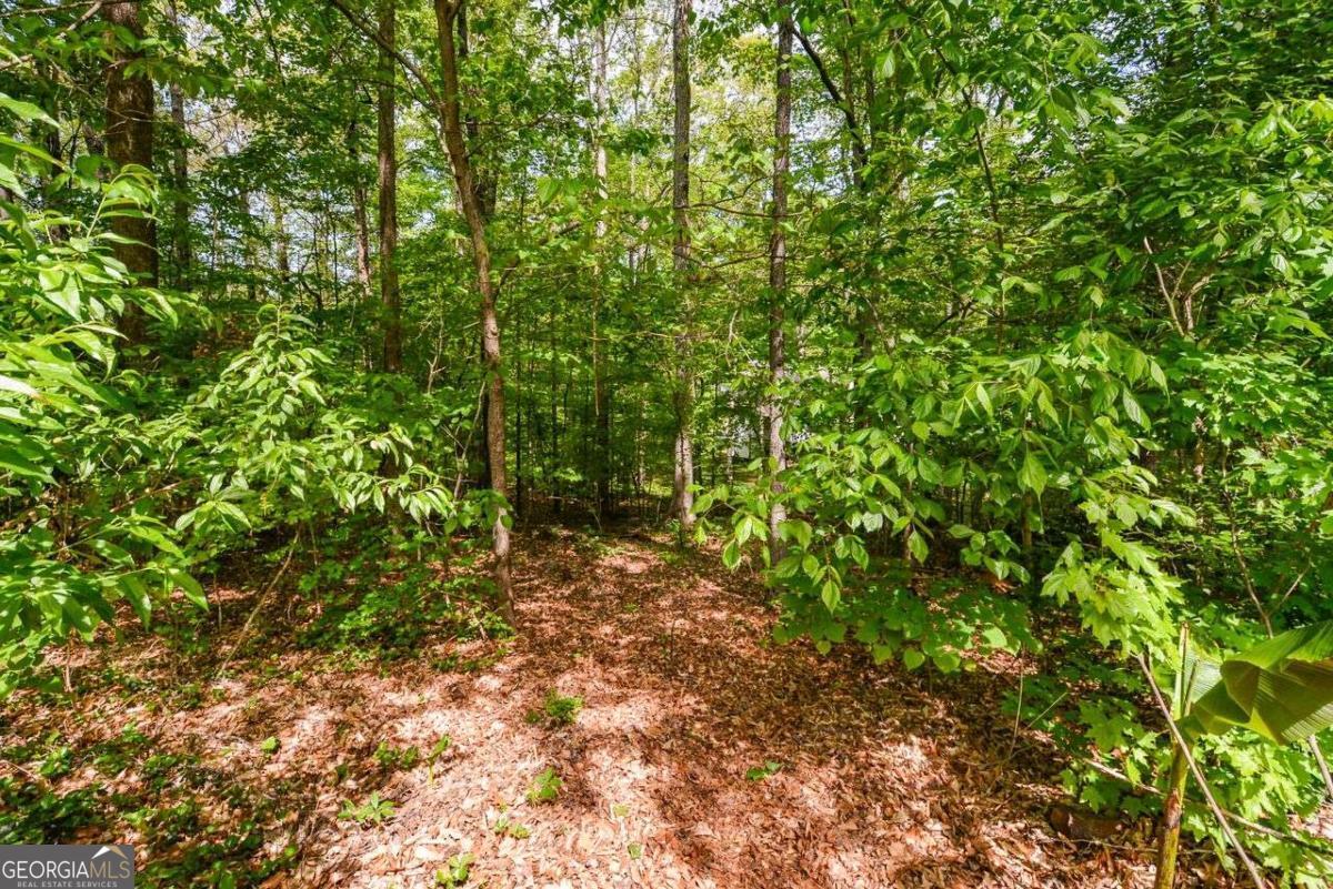 304 Cacique Court Woodstock GA 30188