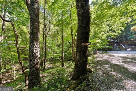 300 Frost Pine Circle Jasper GA 30143