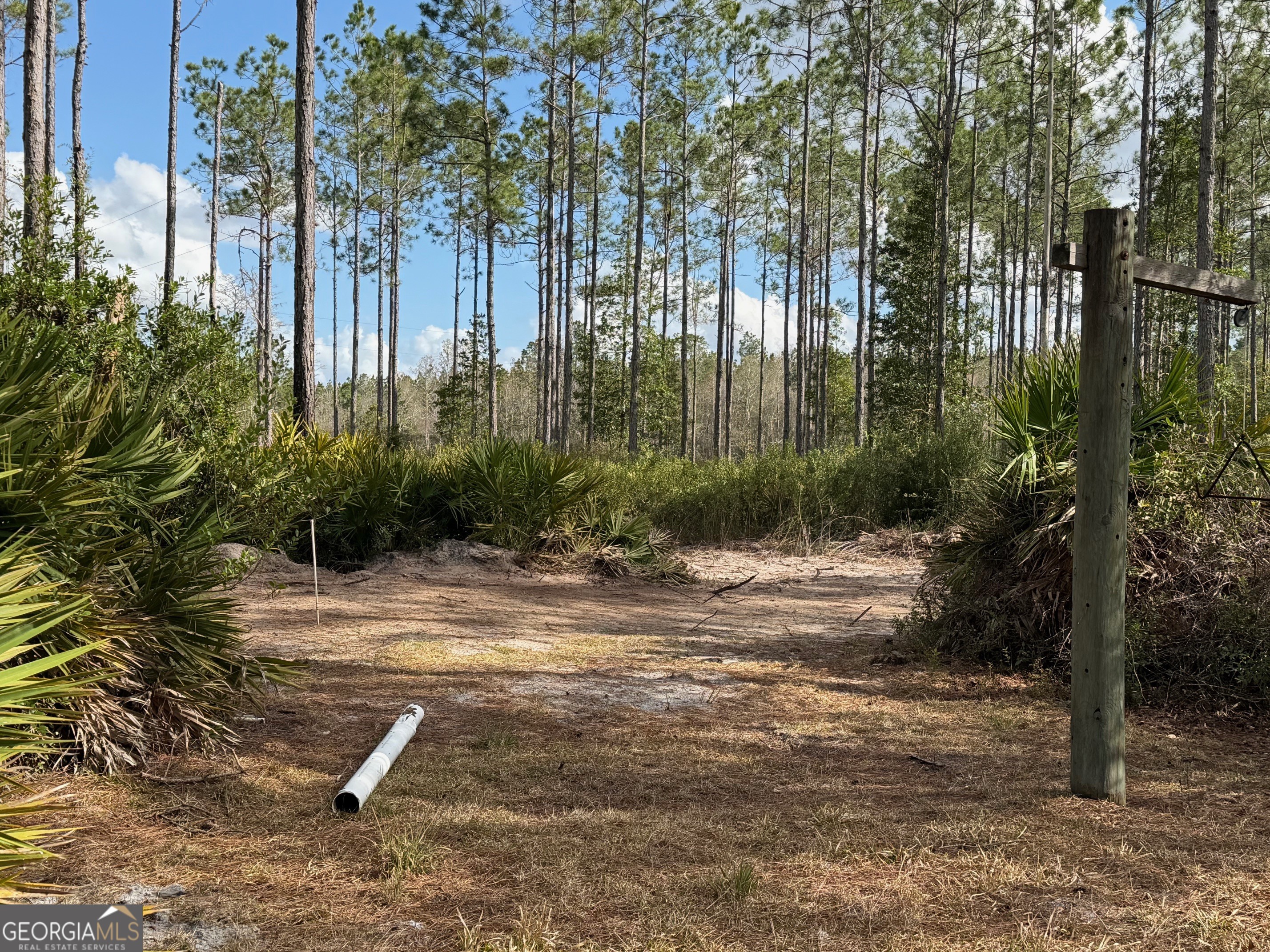 6642 Old Moniac Road St. George GA 31562