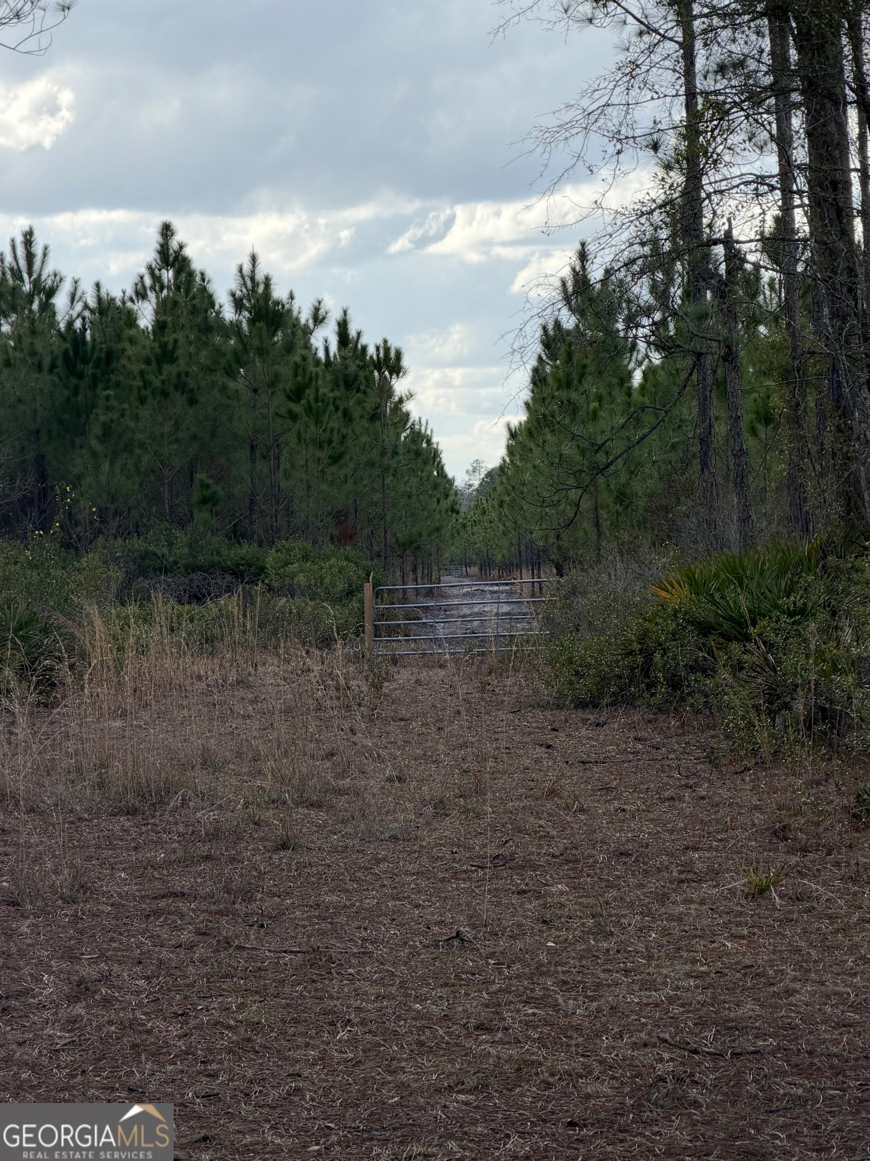 6642 Old Moniac Road St. George GA 31562