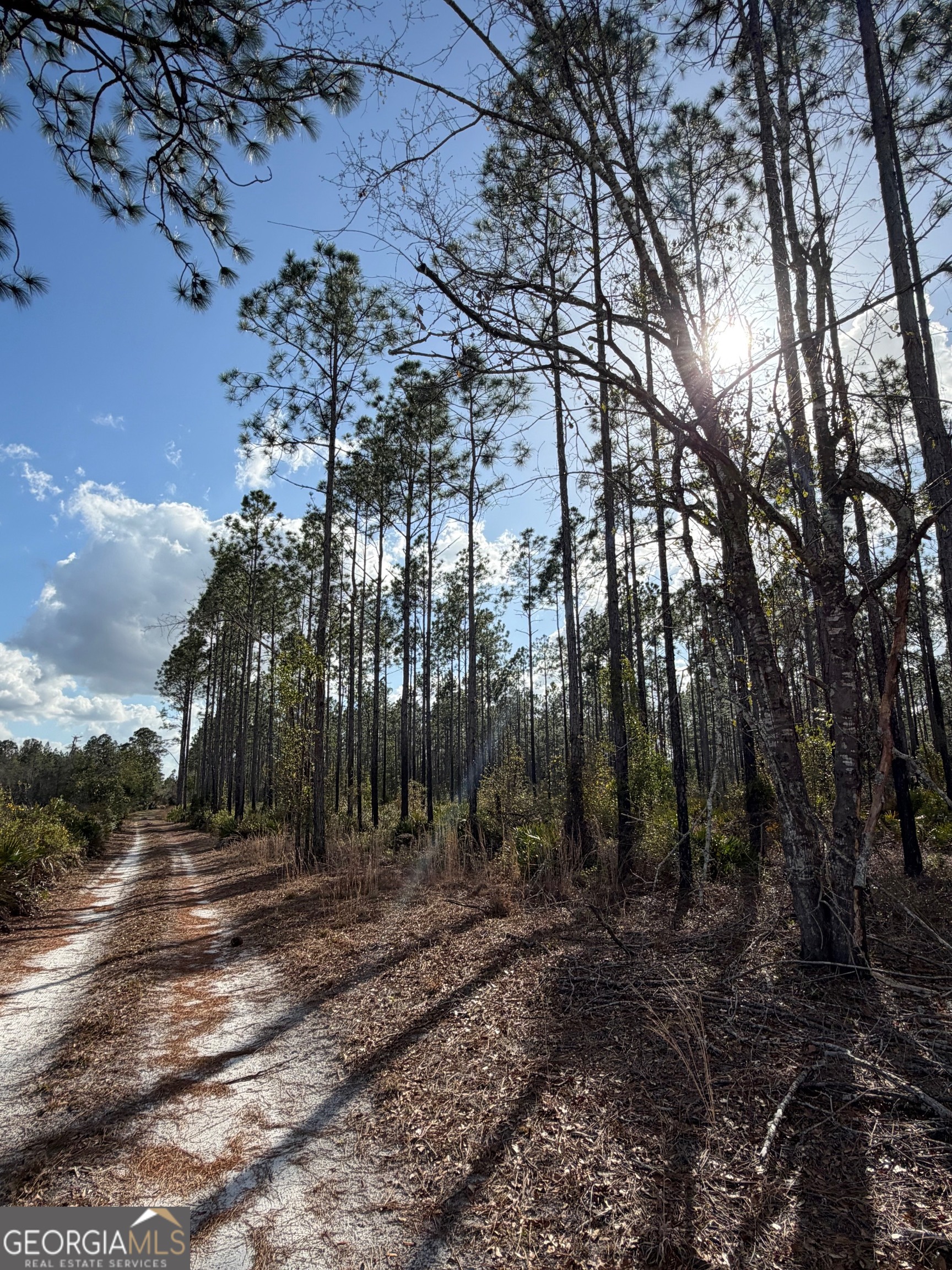 6642 Old Moniac Road St. George GA 31562