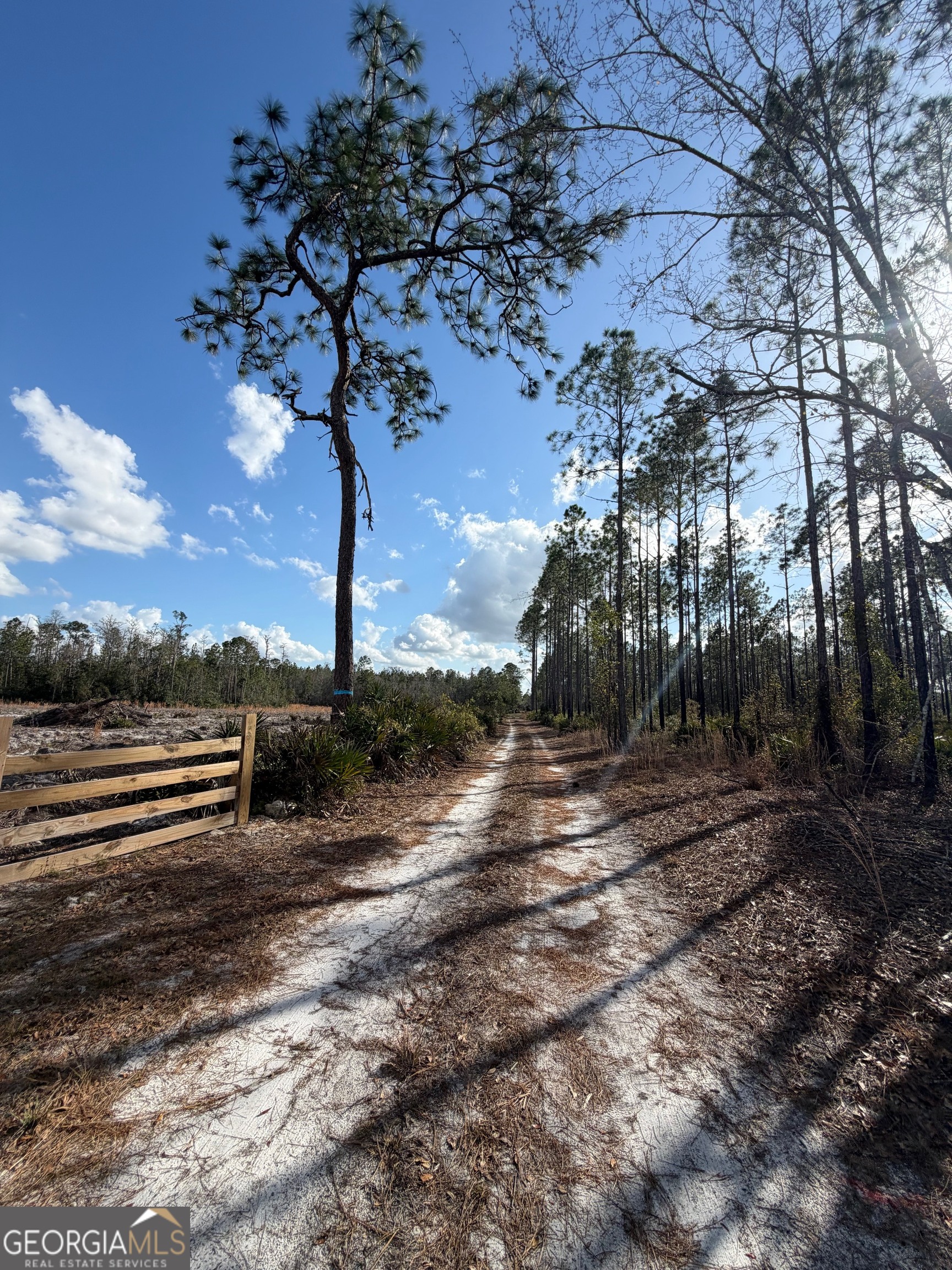 6642 Old Moniac Road St. George GA 31562