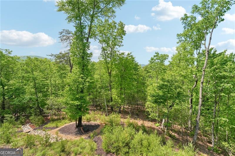 252 Wild Turkey Bluff Big Canoe GA 30143
