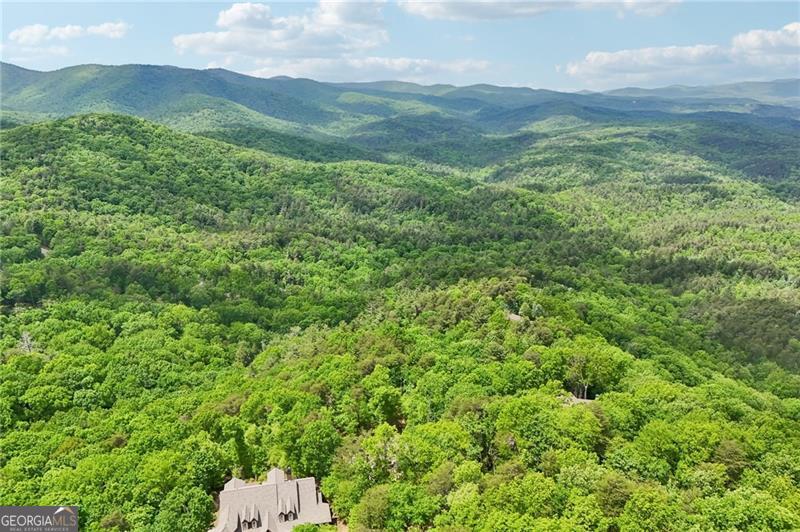 252 Wild Turkey Bluff Big Canoe GA 30143