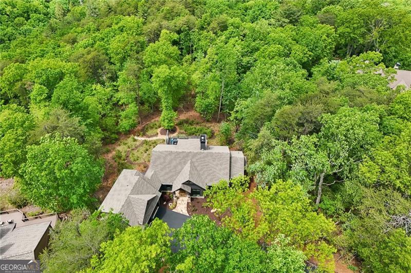 252 Wild Turkey Bluff Big Canoe GA 30143