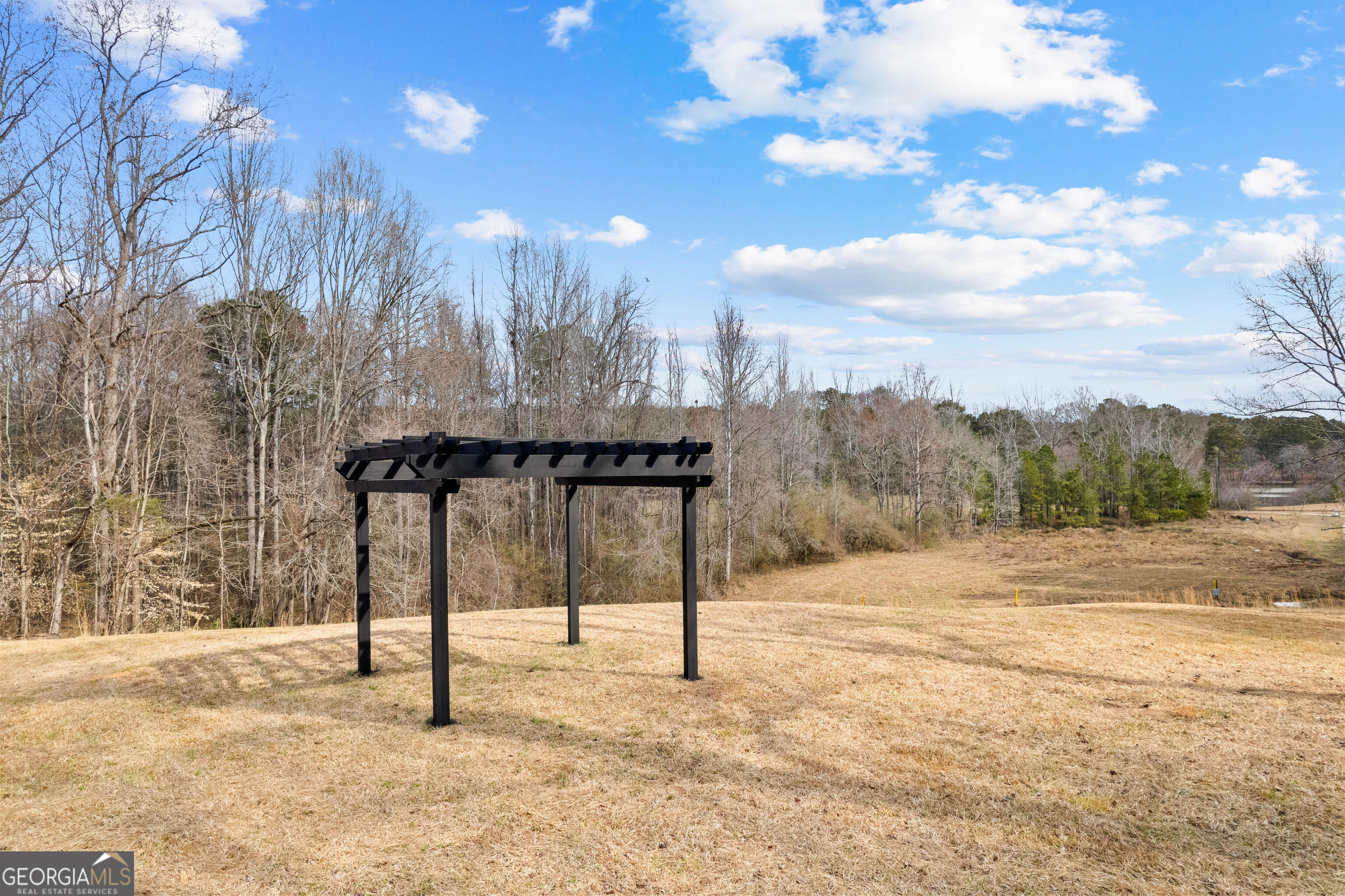260 Sandy Lake Circle Fayetteville GA 30214
