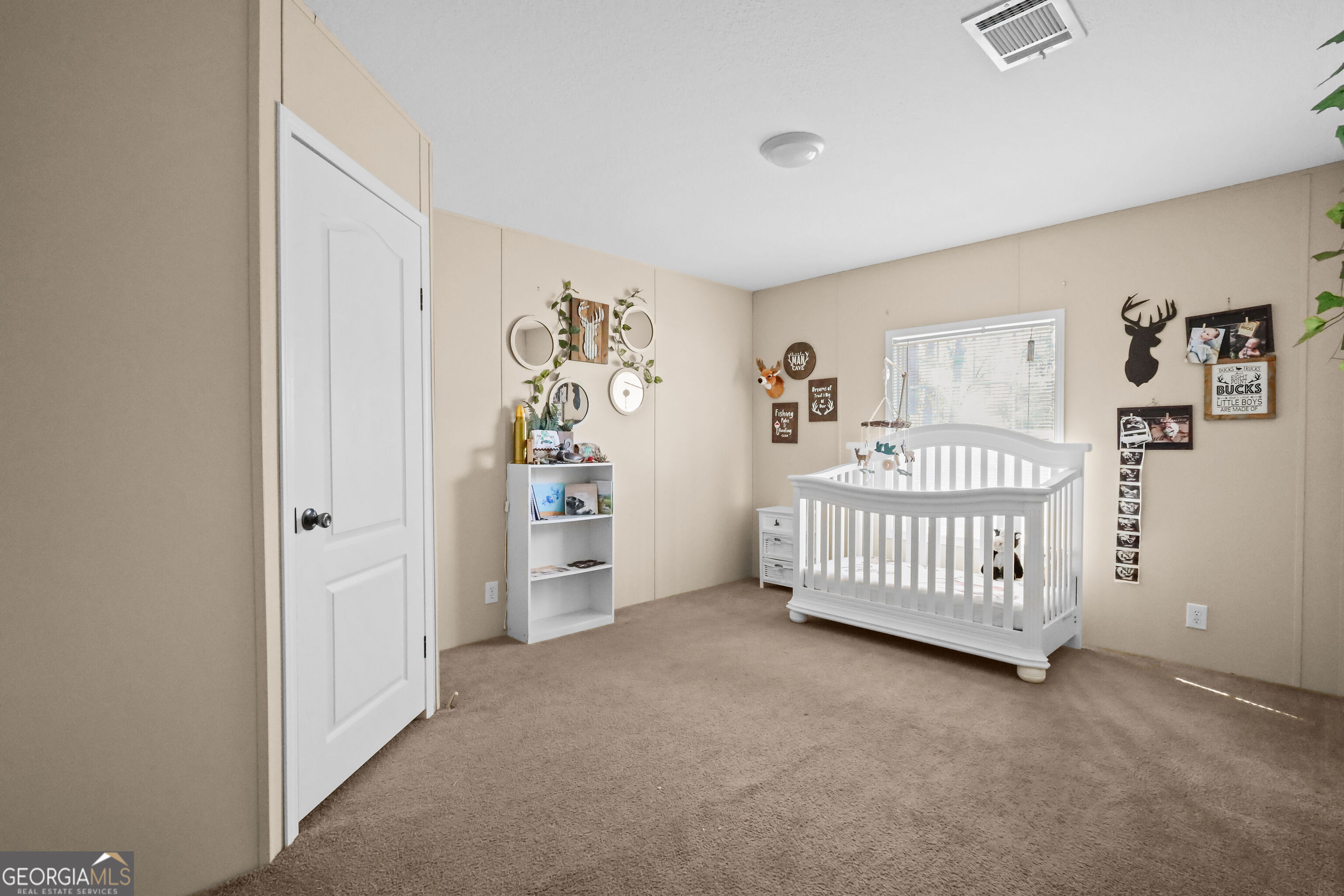 611 Sandy Run Road Jesup GA 31545