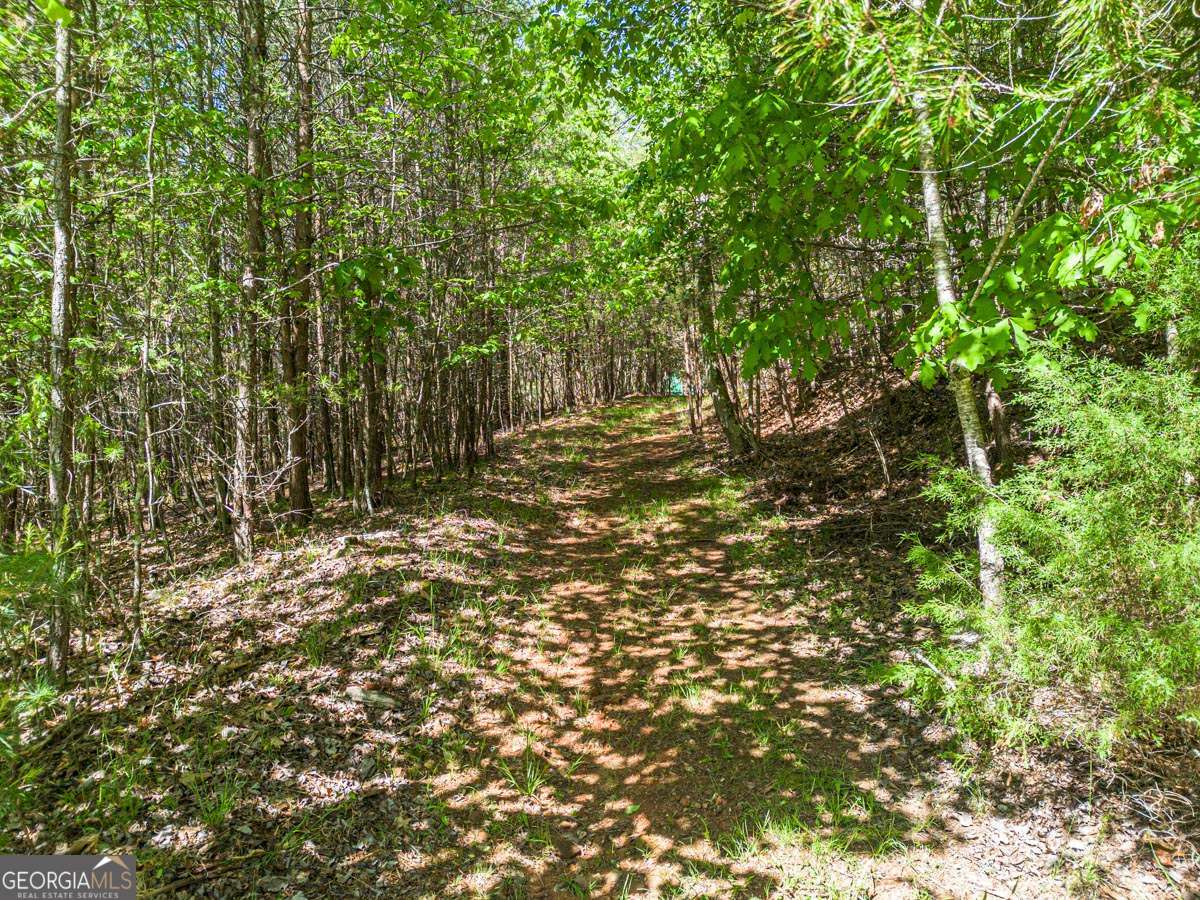 392 Oak Hills Drive Morganton GA 30560