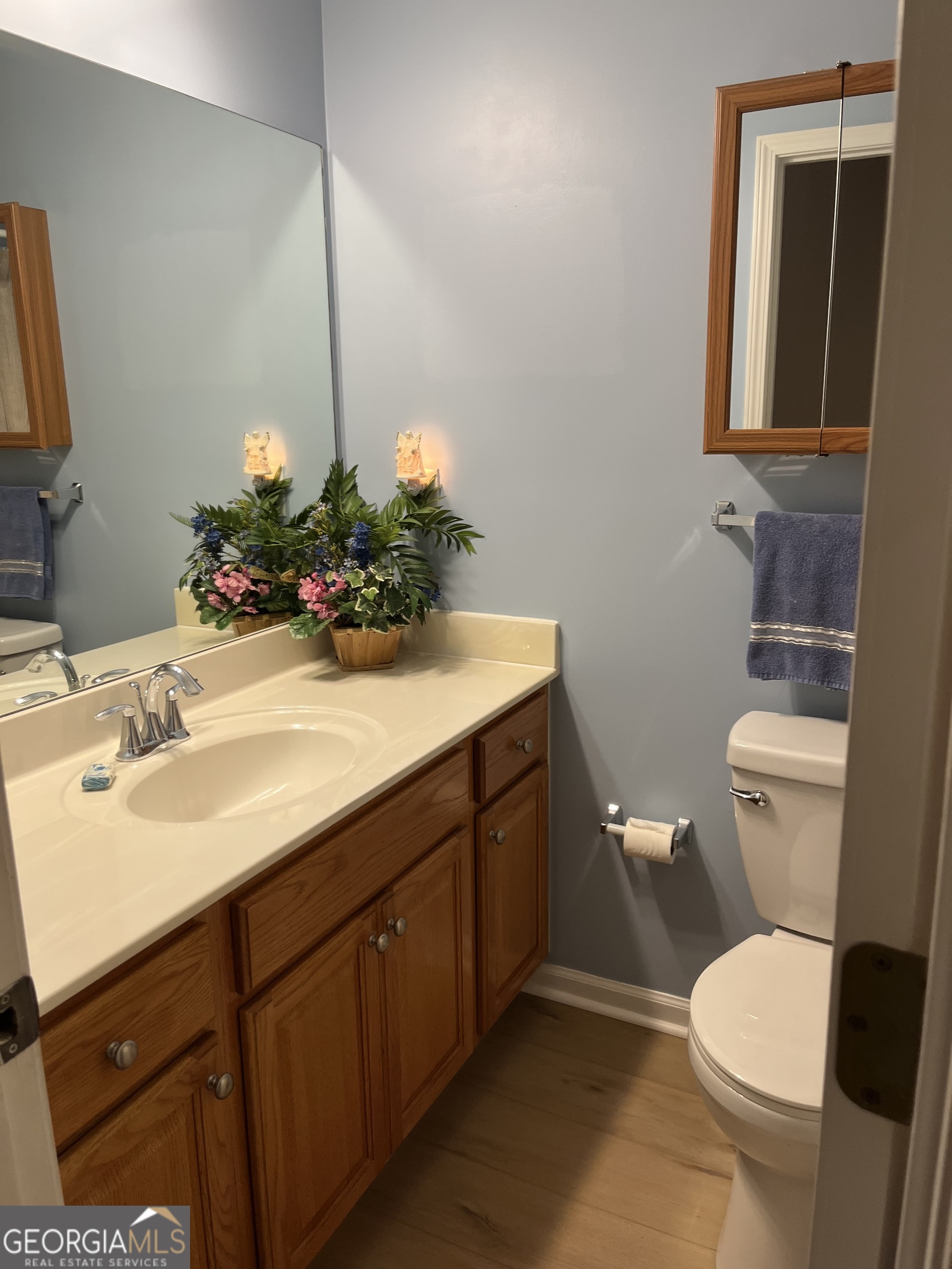 139 Laurel Creek Court Carrollton GA 30117