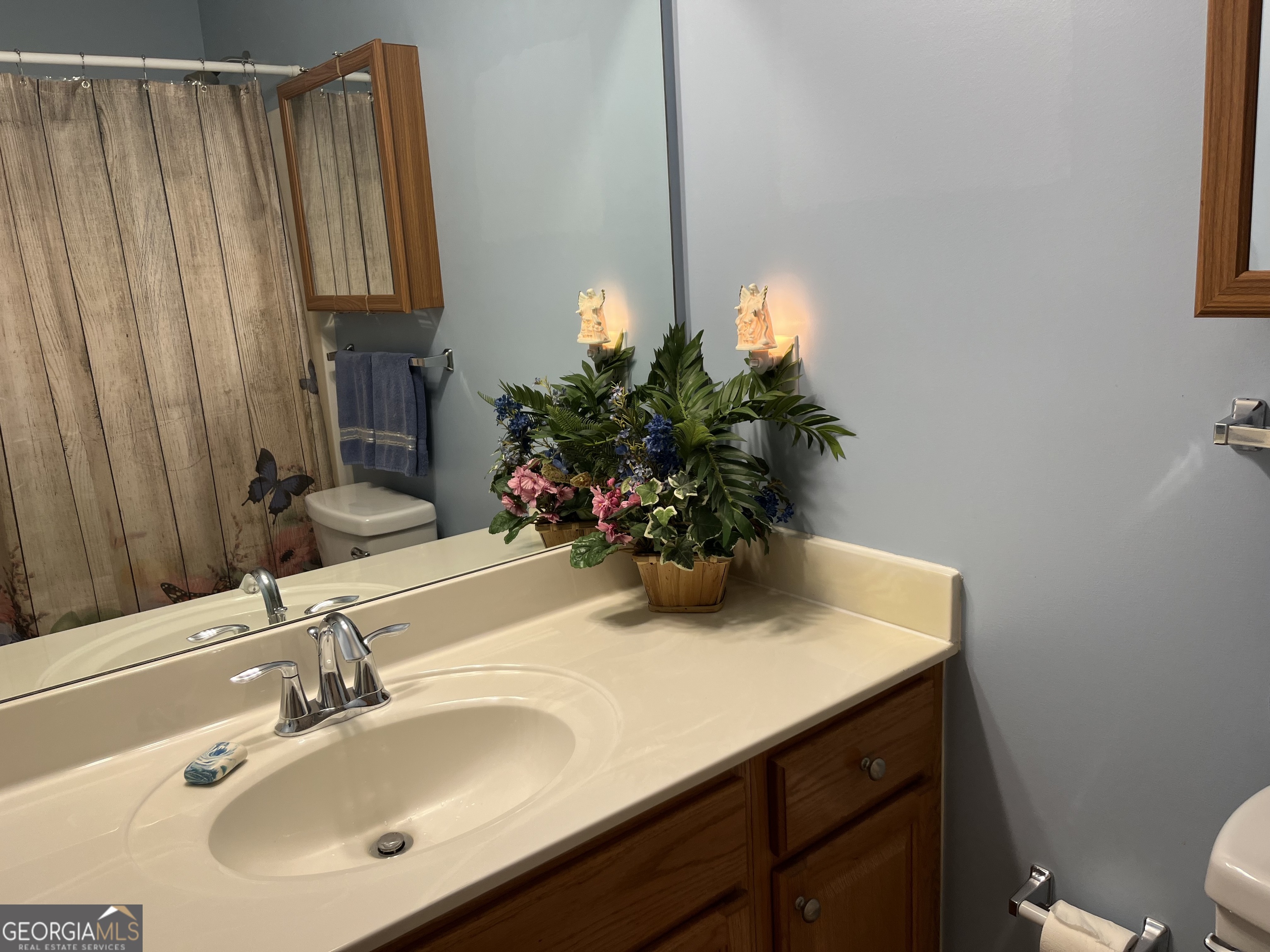 139 Laurel Creek Court Carrollton GA 30117