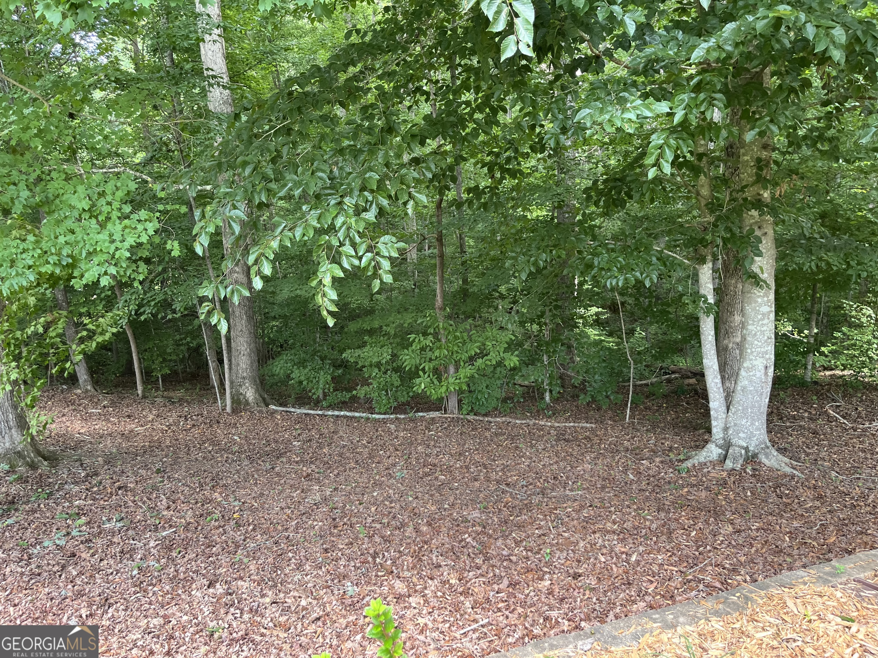 139 Laurel Creek Court Carrollton GA 30117