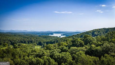 191 Green Ridge Road Blue Ridge GA 30513