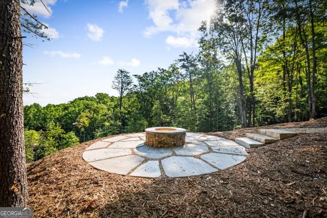 191 Green Ridge Road Blue Ridge GA 30513