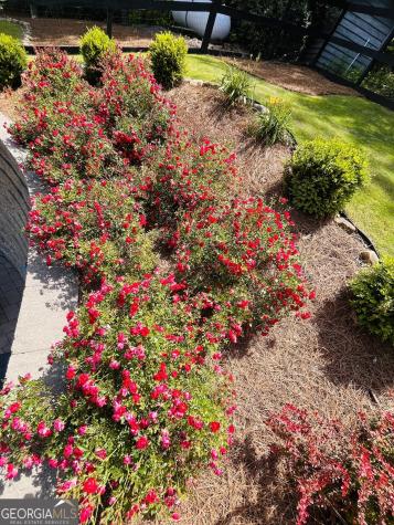 74 Valley Drive Ellijay GA 30536