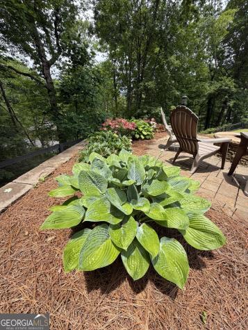 74 Valley Drive Ellijay GA 30536