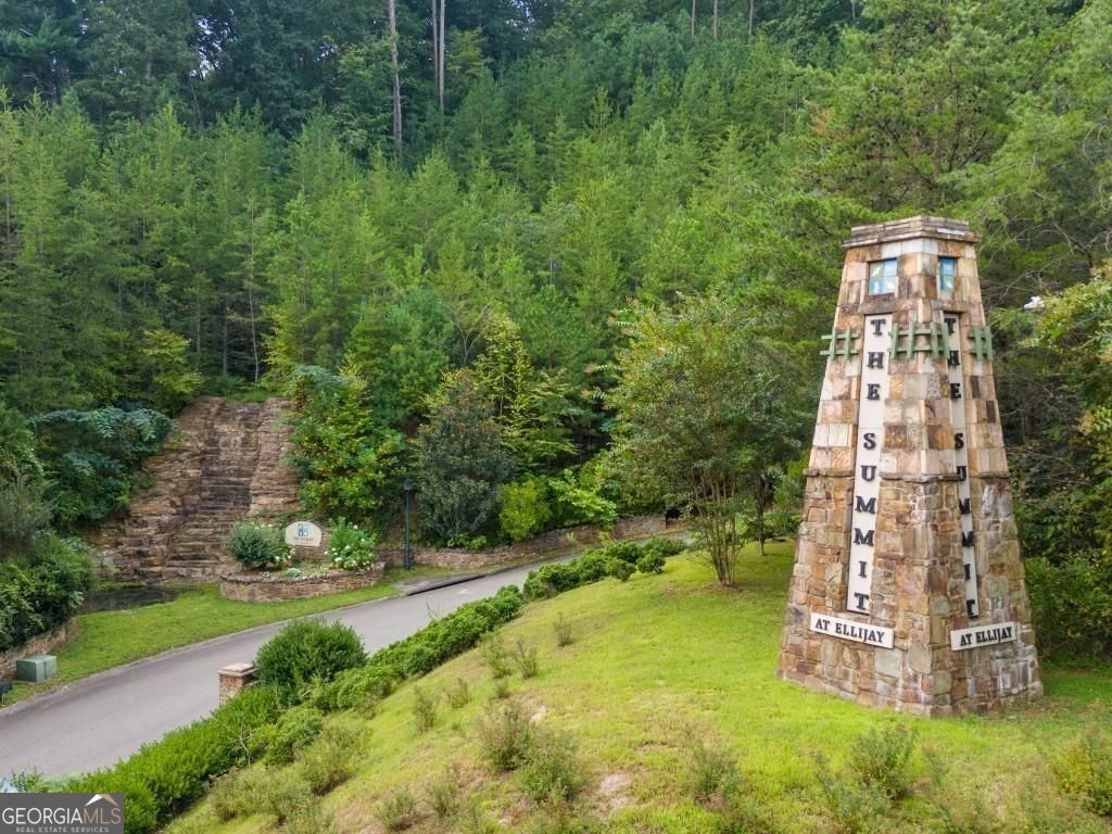 145 Pinnacle Way Ellijay GA 30540