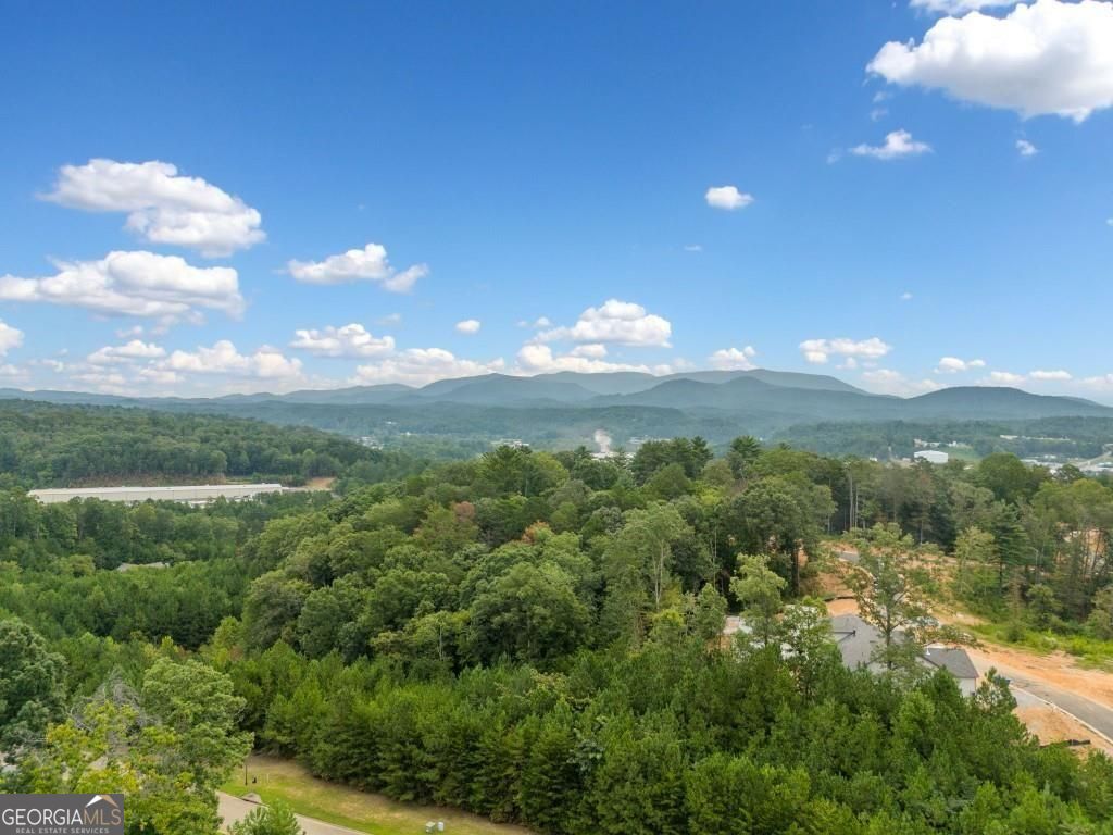 145 Pinnacle Way Ellijay GA 30540