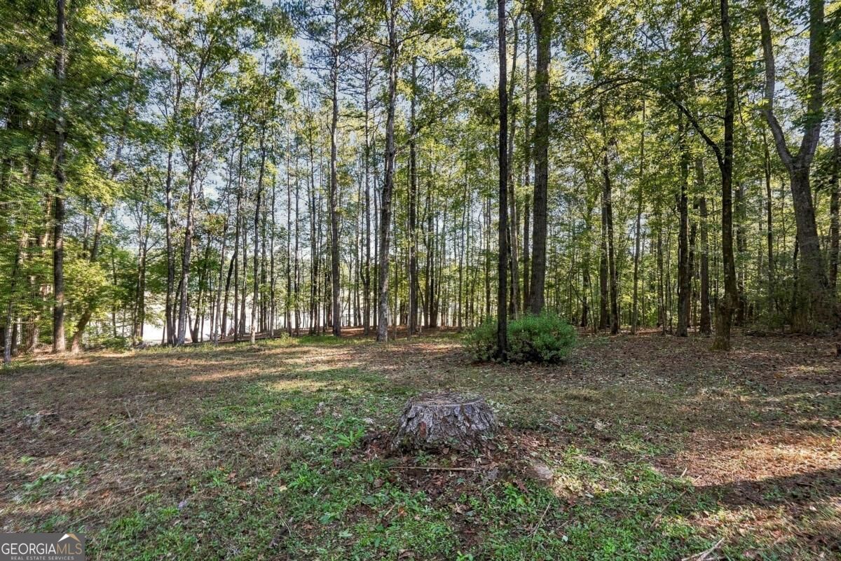 35 Point North Drive Hogansville GA 30230