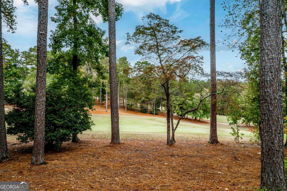 1050 Curtright Place Greensboro GA 30642