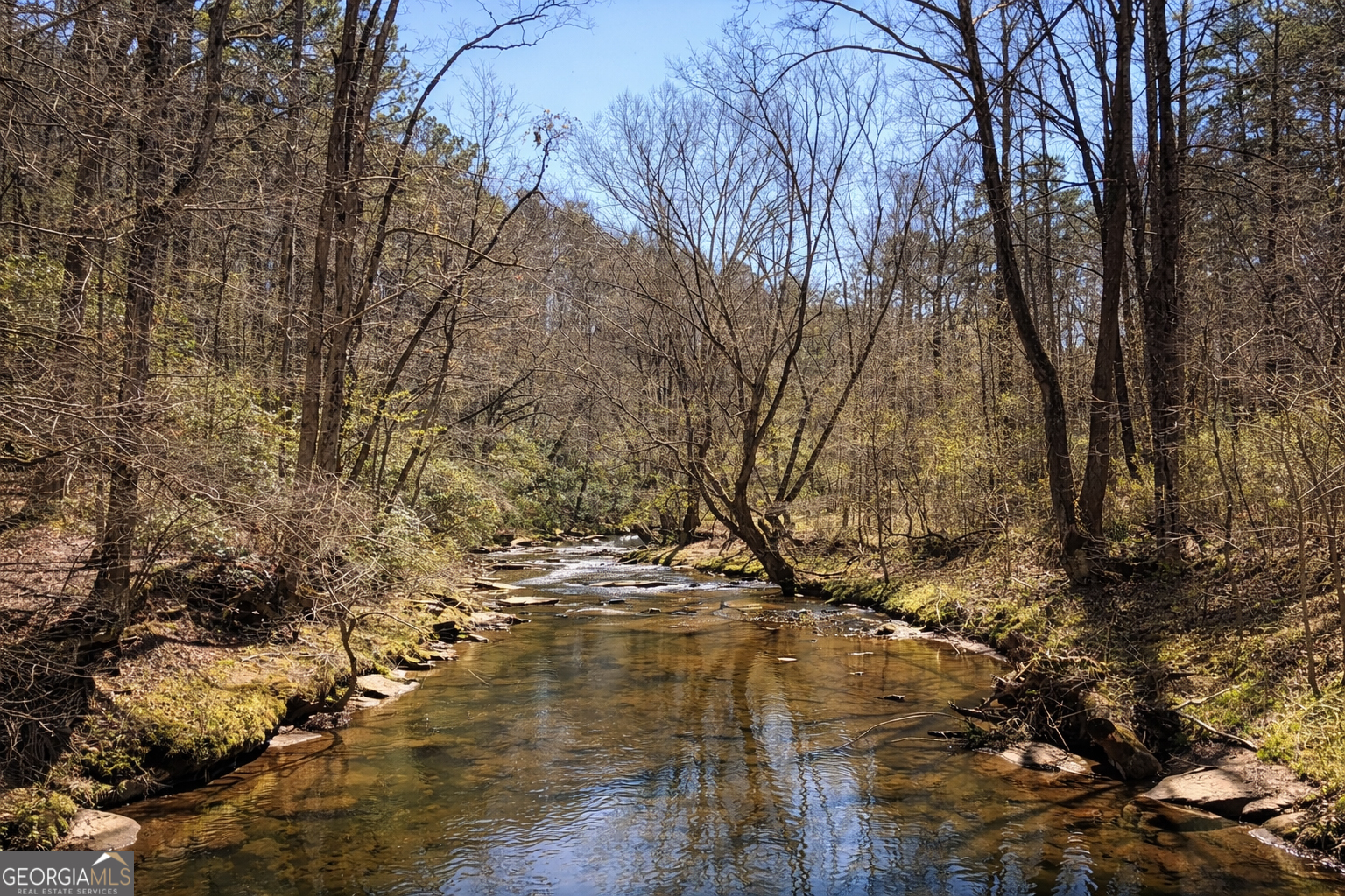 2308 Carver Mill Road Talking Rock GA 30175