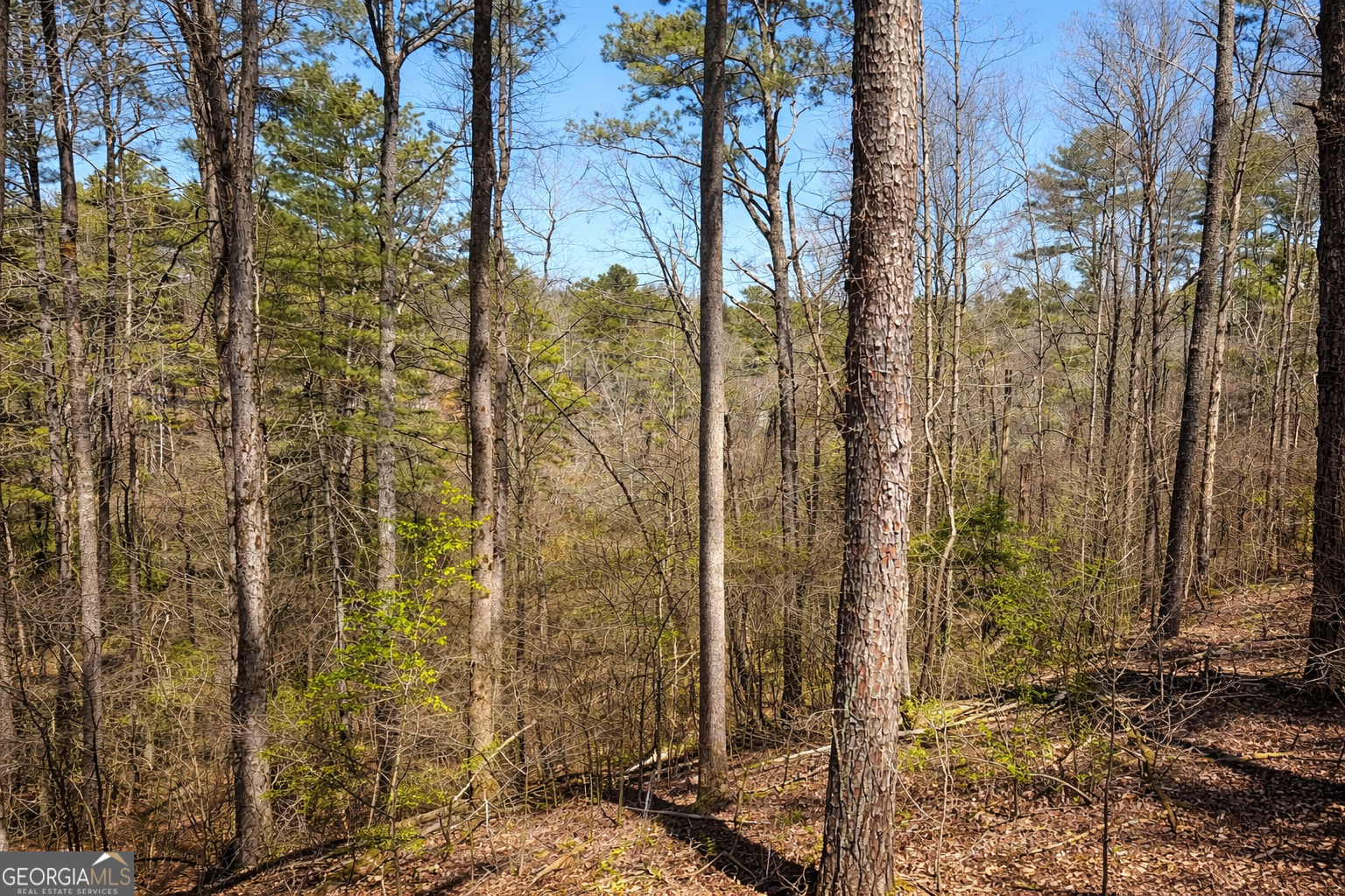 2308 Carver Mill Road Talking Rock GA 30175