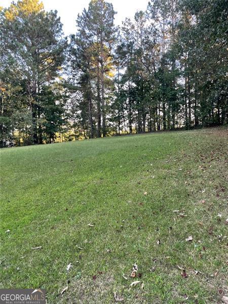 202 Hickory Jackson GA 30233