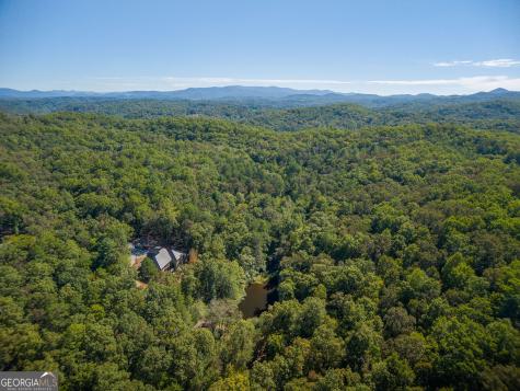 427 Cross Creek Road Mineral Bluff GA 30559