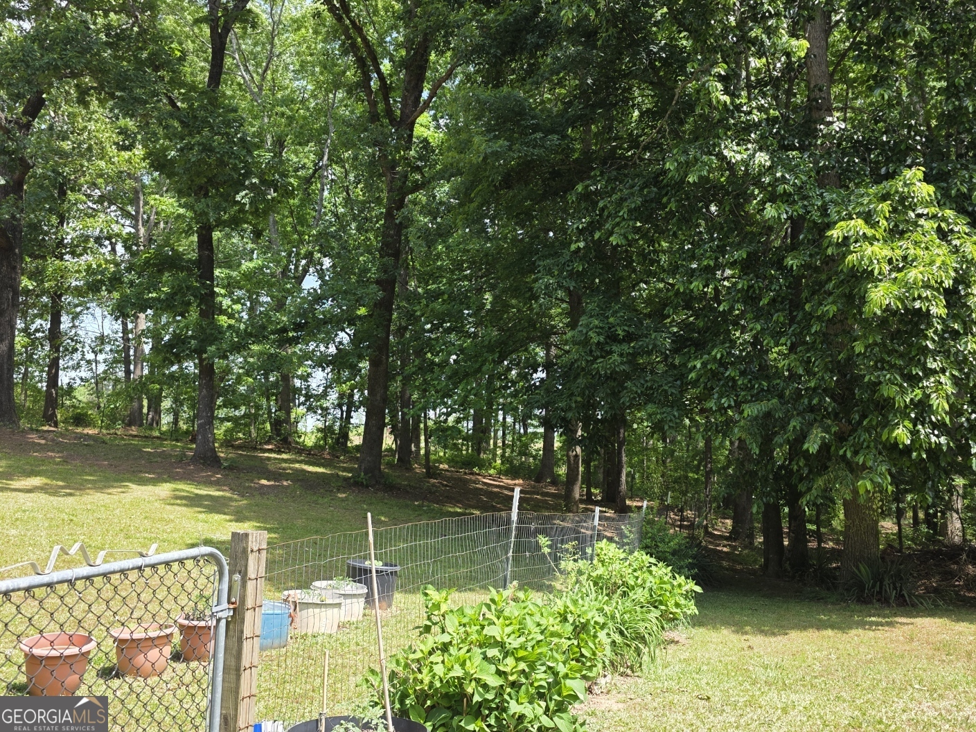 3879 Caney Head Road Franklin GA 30217