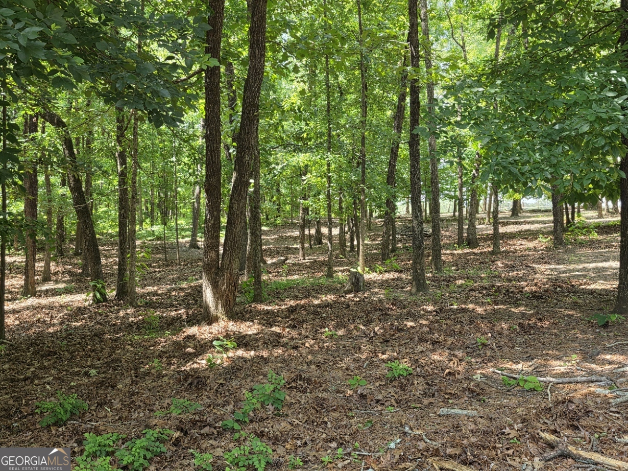 3879 Caney Head Road Franklin GA 30217