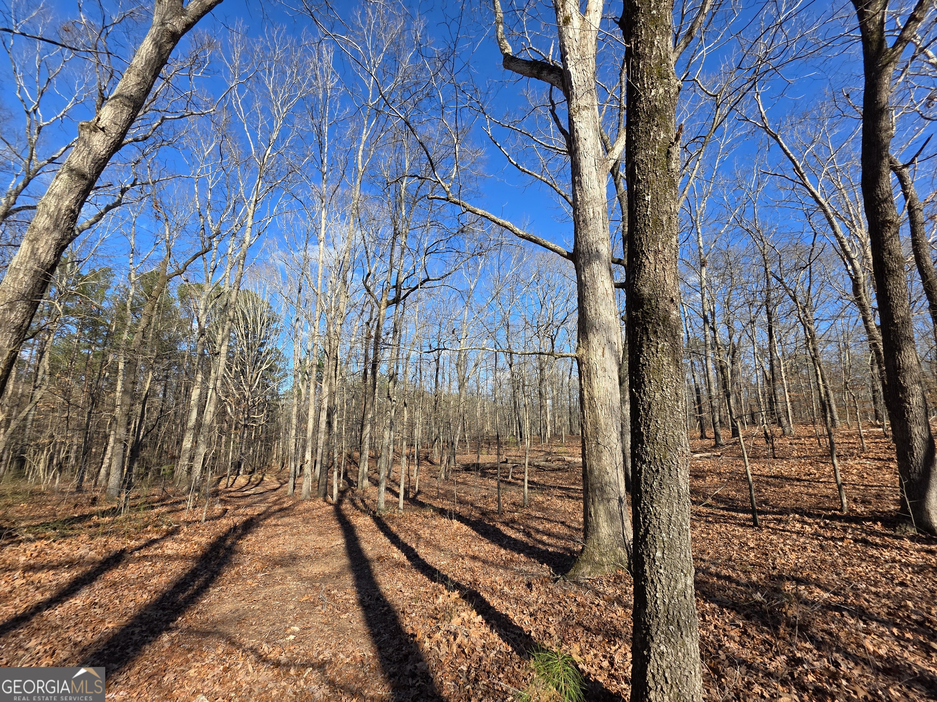 3879 Caney Head Road Franklin GA 30217