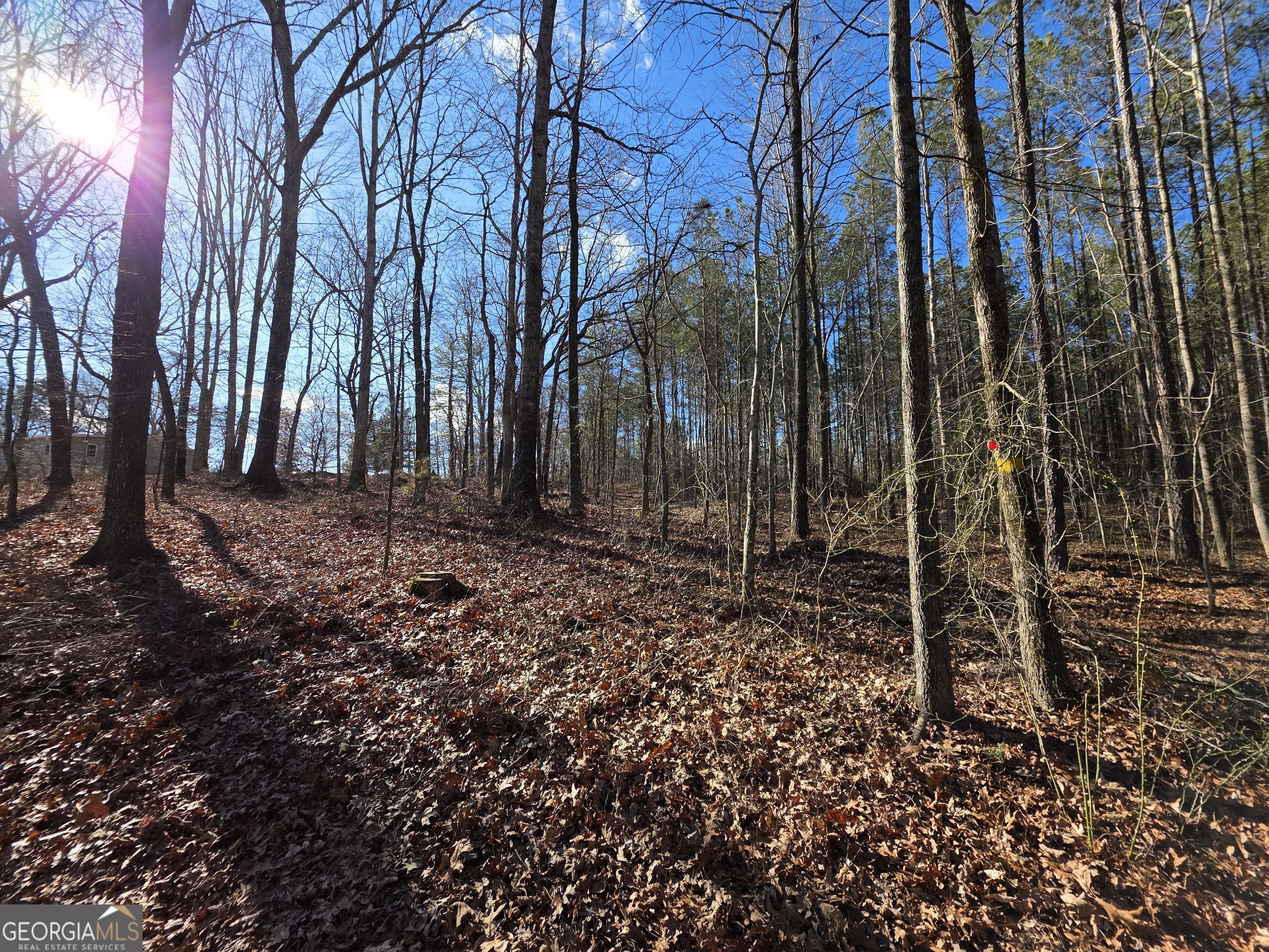 3879 Caney Head Road Franklin GA 30217