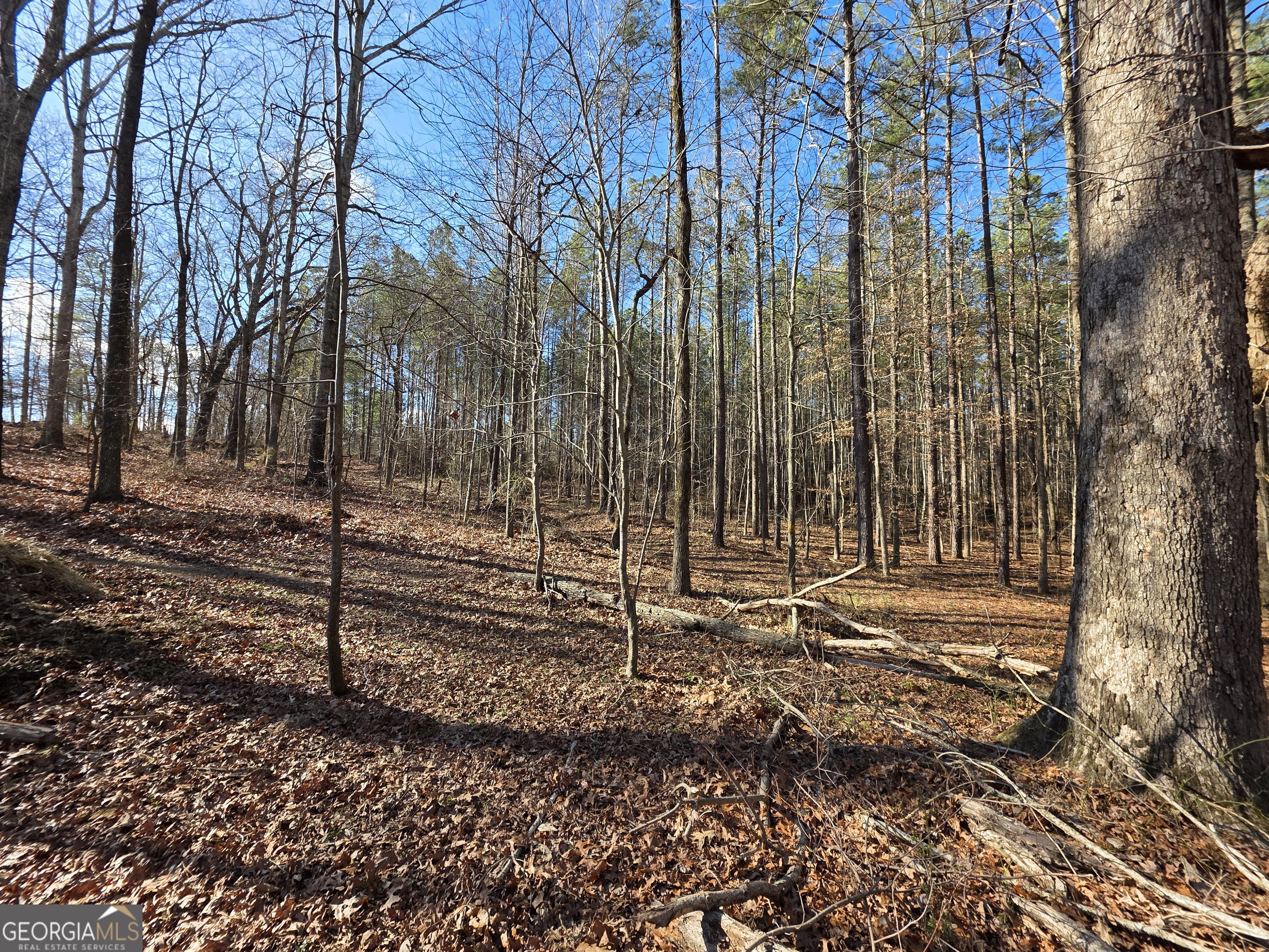 3879 Caney Head Road Franklin GA 30217