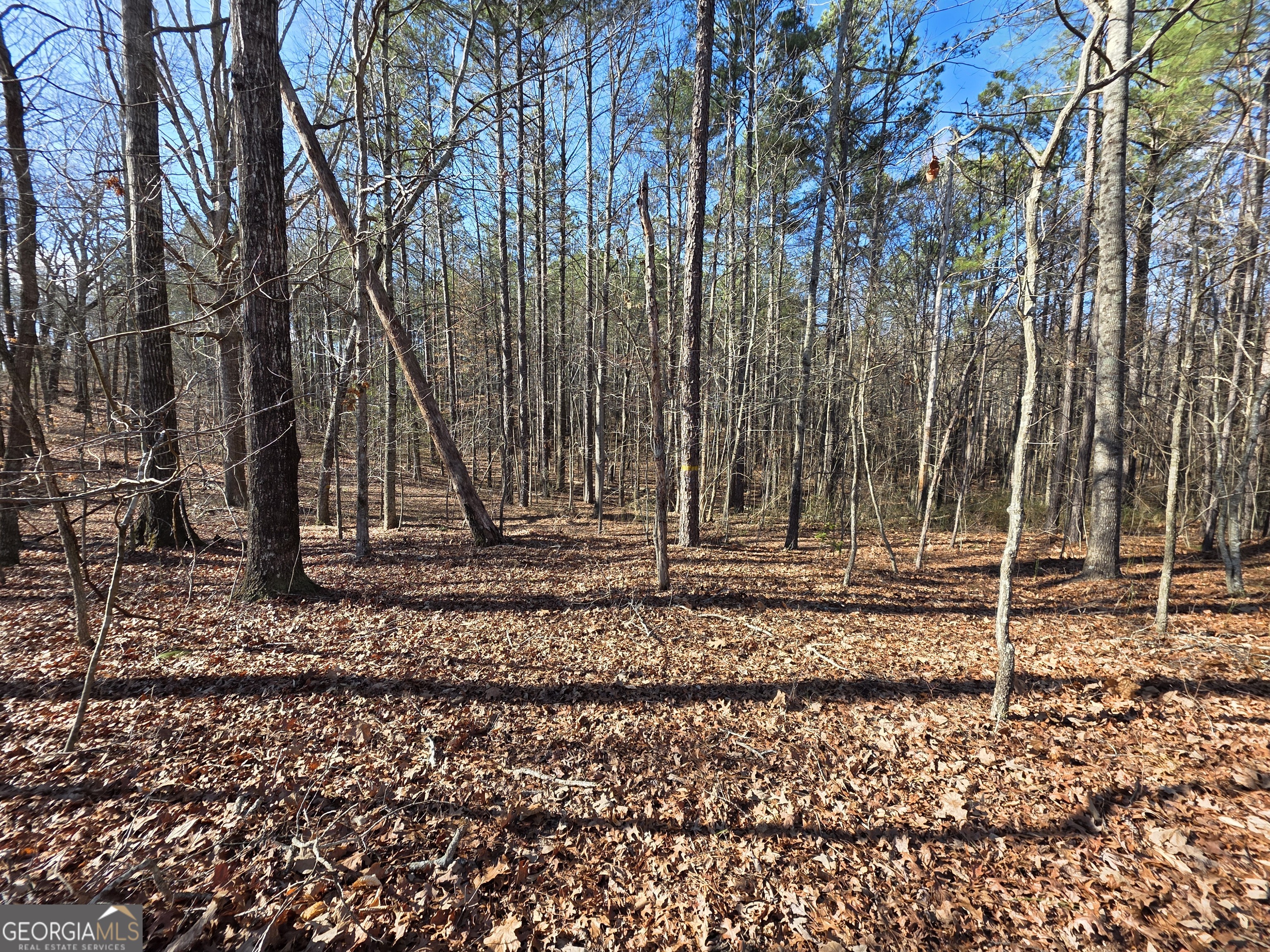 3879 Caney Head Road Franklin GA 30217