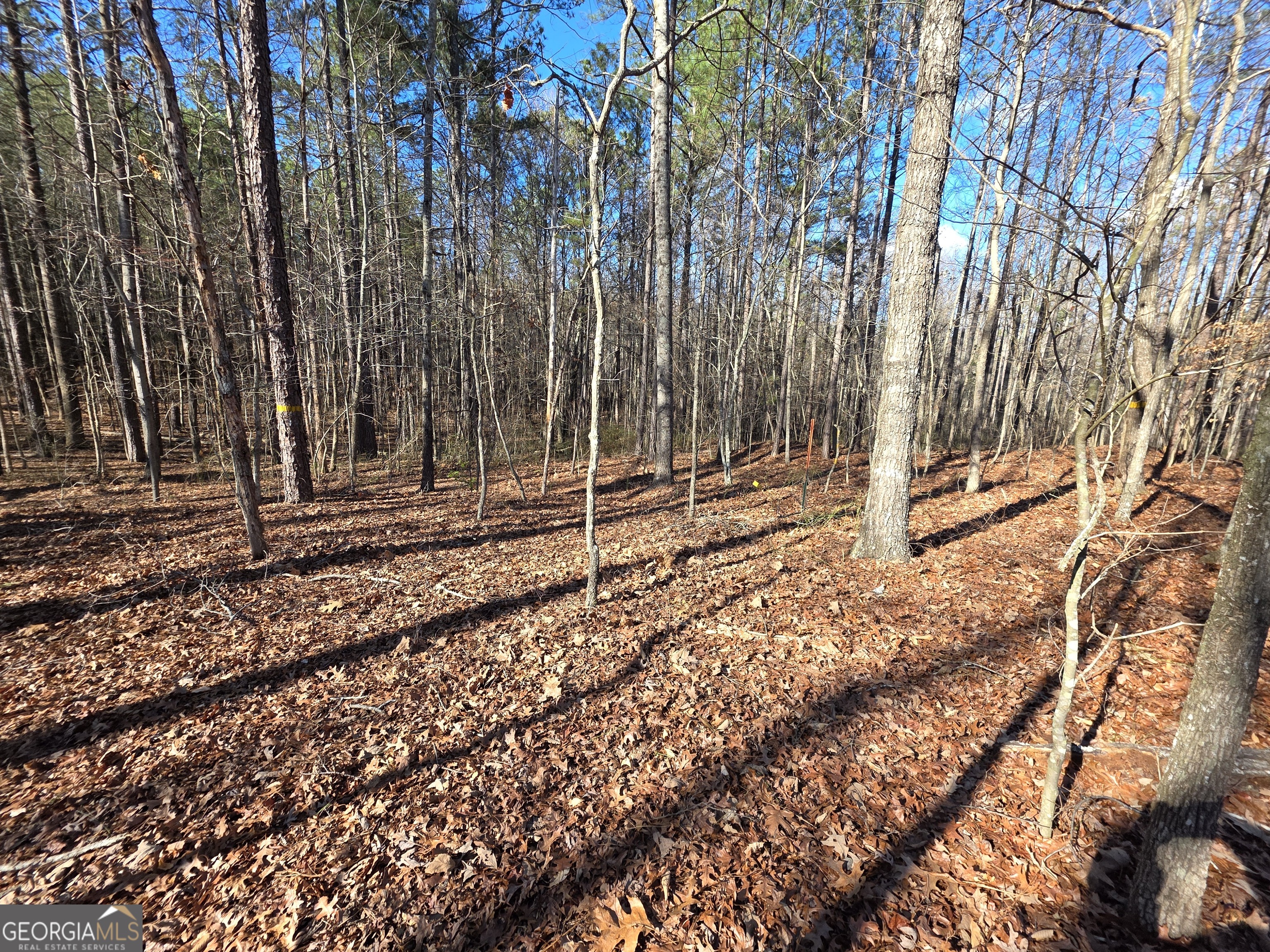 3879 Caney Head Road Franklin GA 30217