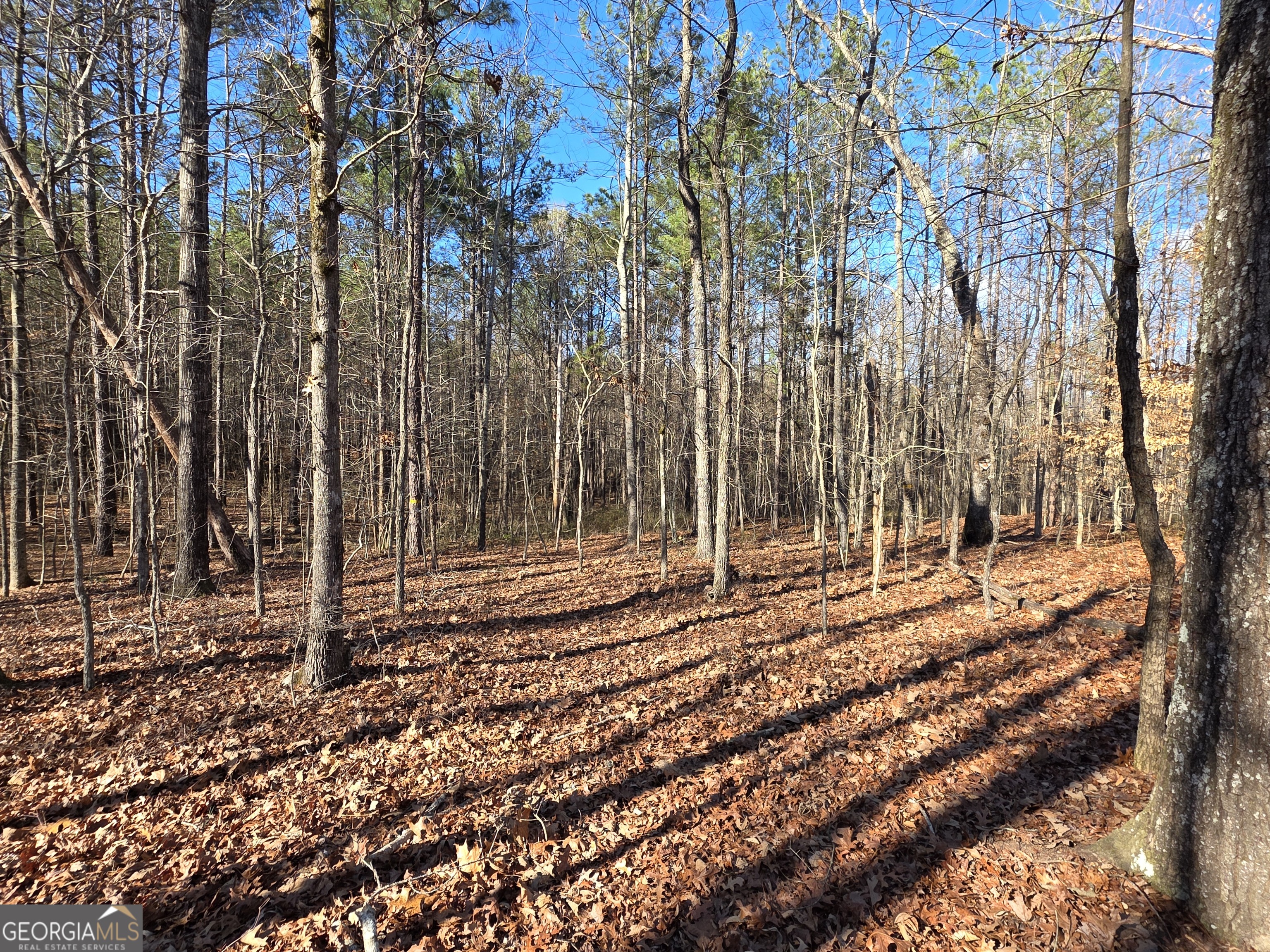 3879 Caney Head Road Franklin GA 30217