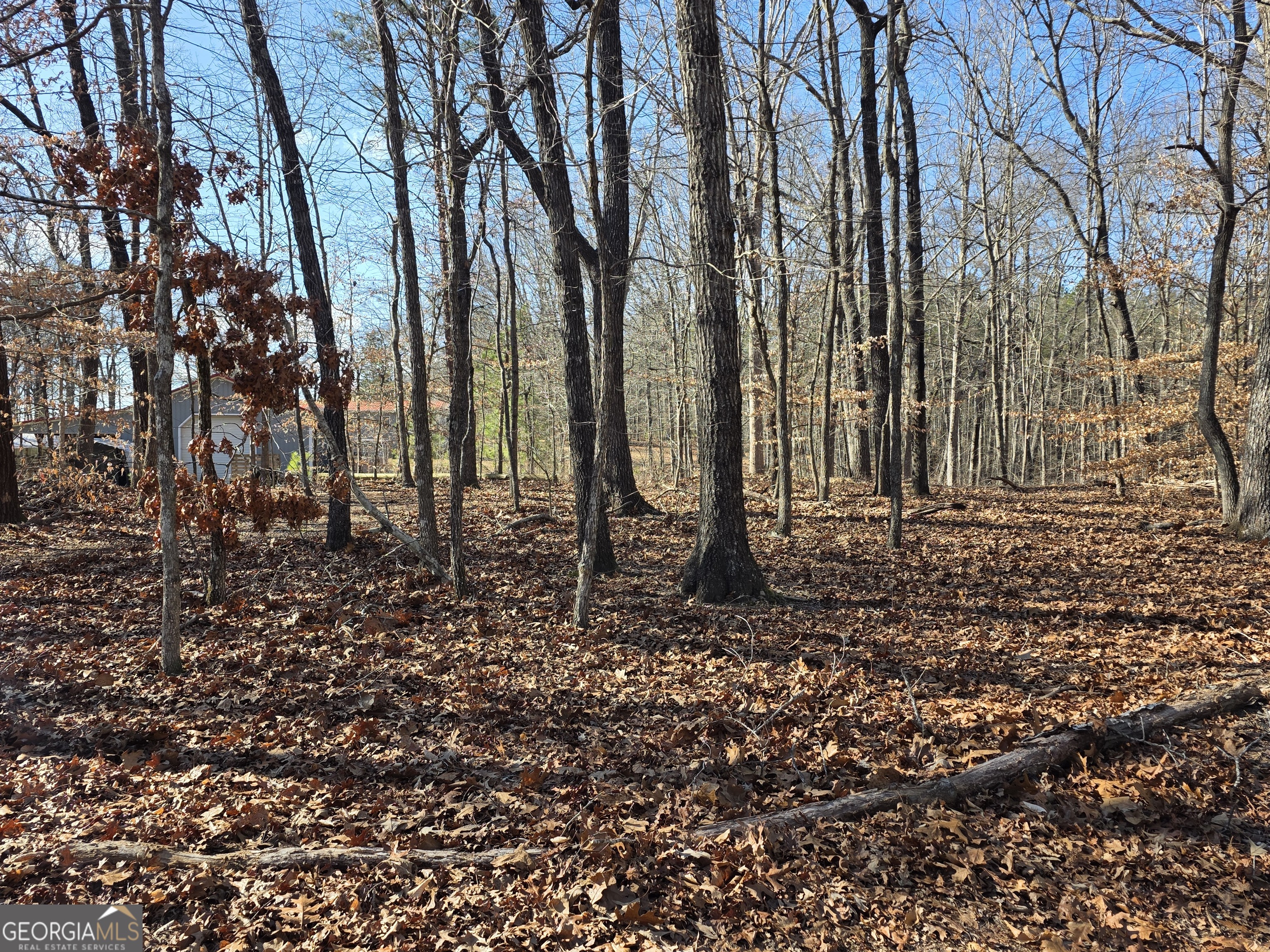 3879 Caney Head Road Franklin GA 30217