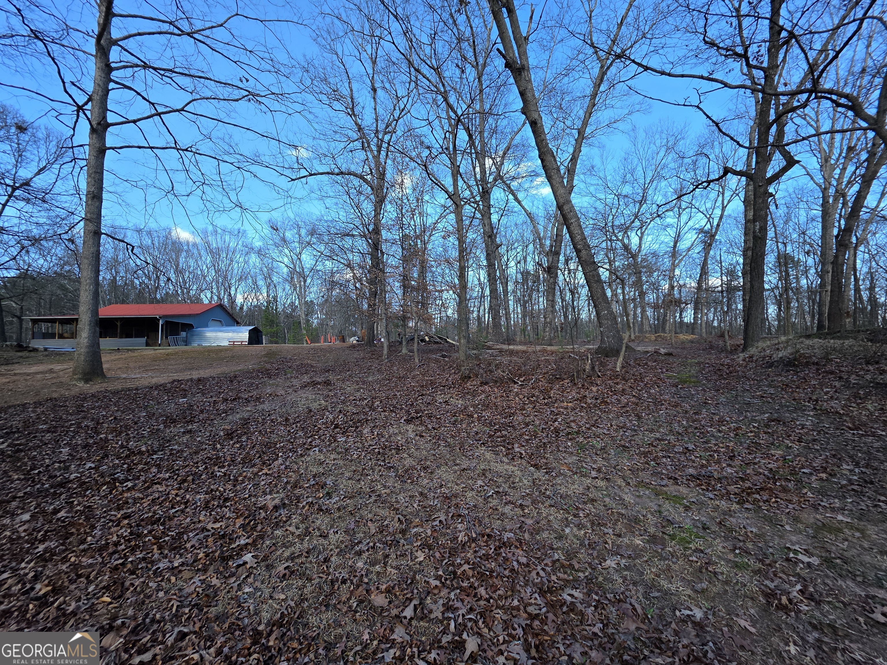 3879 Caney Head Road Franklin GA 30217